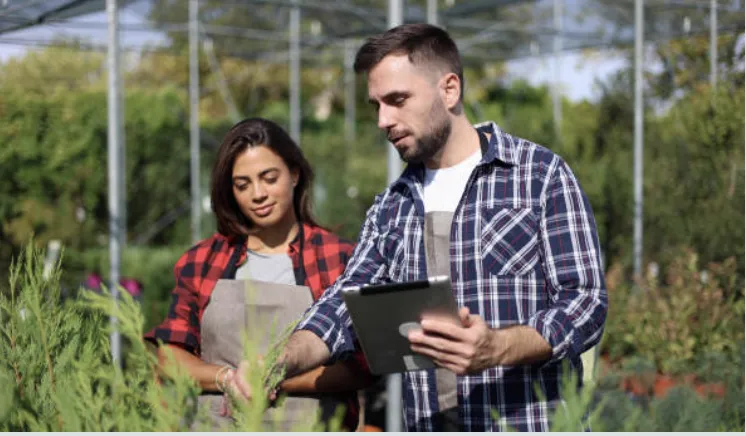 Técnico asesorando a productor agrícola con tablet en terreno