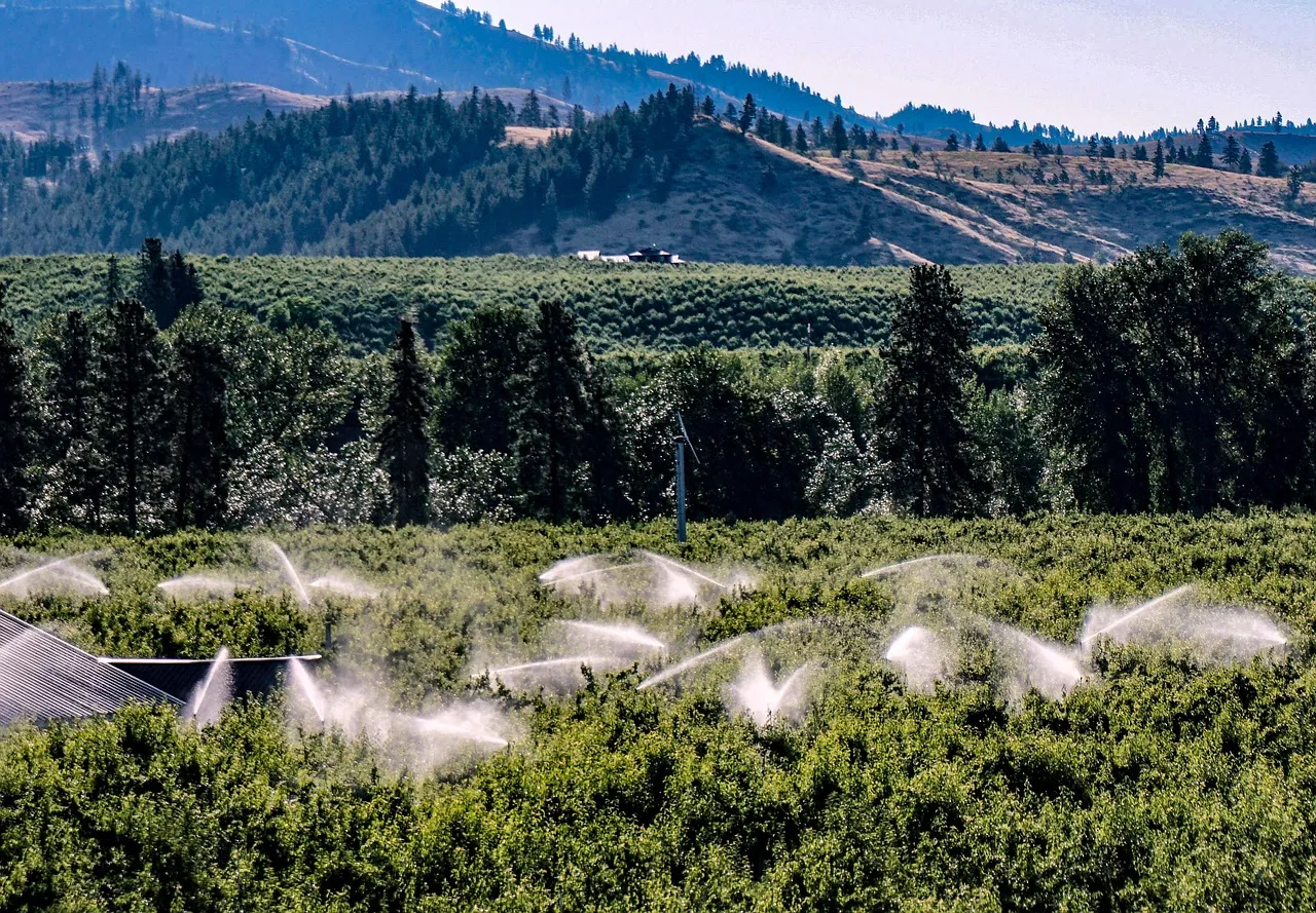 Automatizacion agrícola en diferentes tipos de explotaciones
