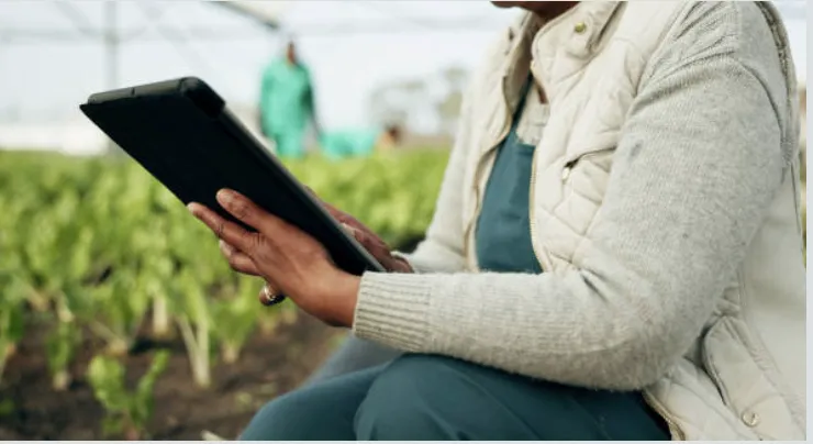 App móvil agrícola siendo usada en terreno con el software agrícola personalizado